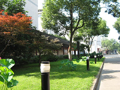 新品開發：全自動化纖長絲條干儀